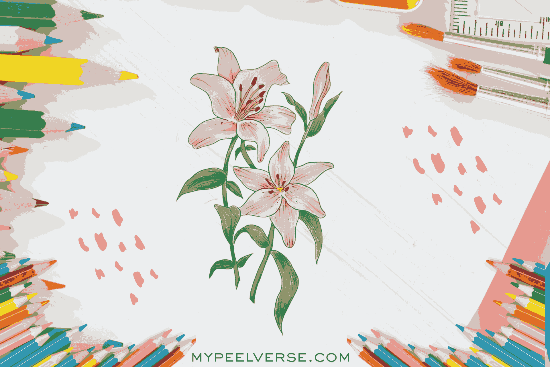 colored flower drawing