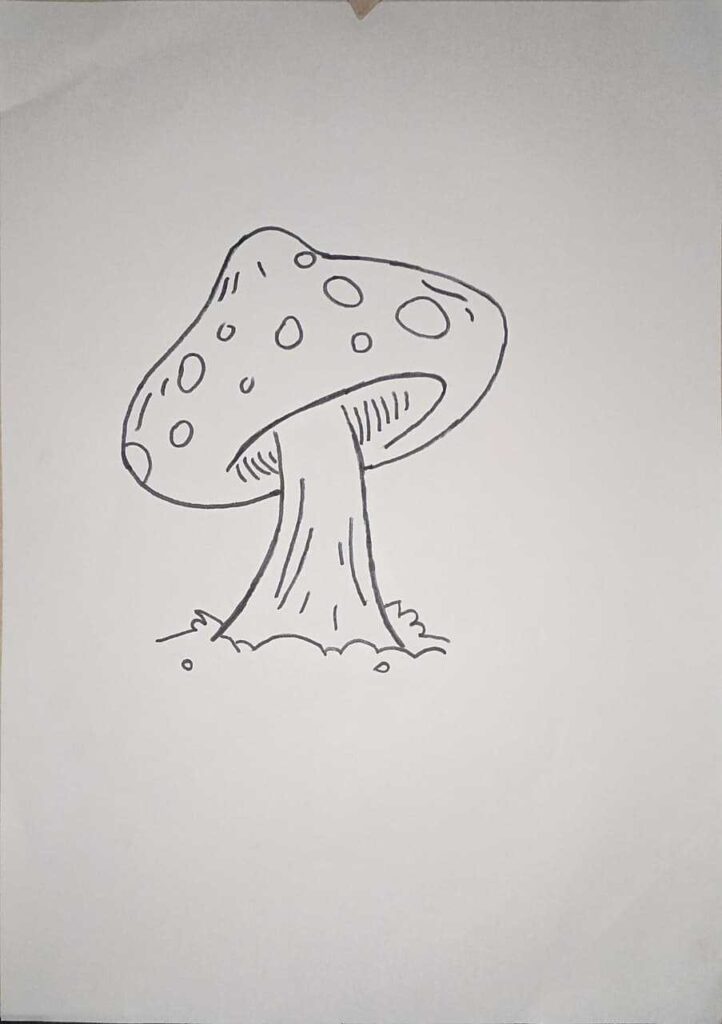 simple mushroom pencil sketch