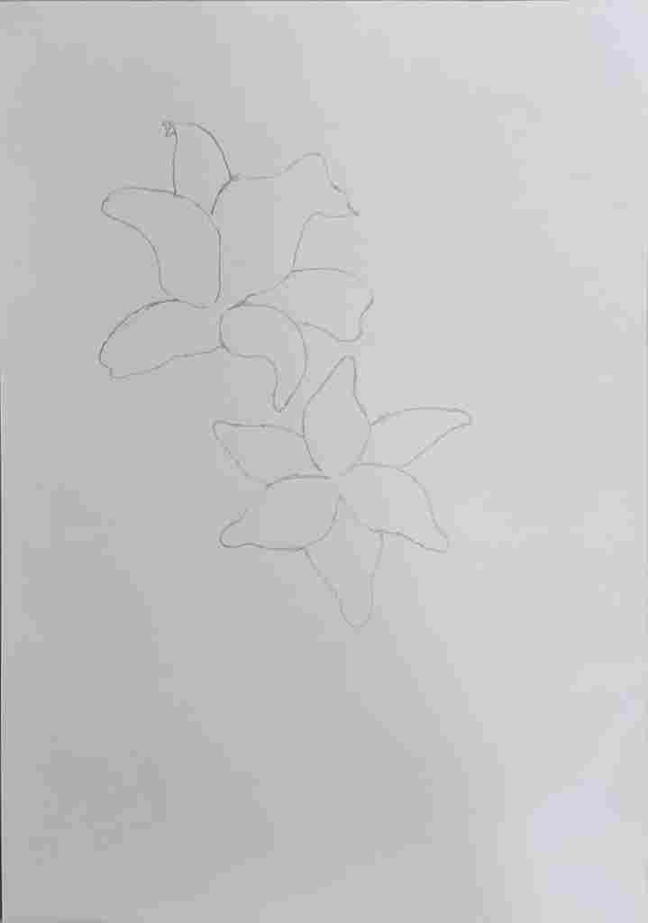 flower drawing step 2 adding petals