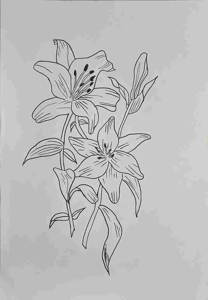 colored flower drawing final result